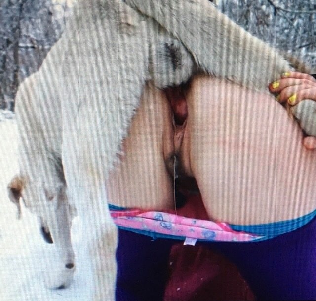 หมา มันส์แสบและเสียว